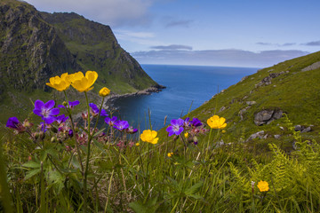 Norwegia Lofoty Moskenesoya © slawjanek
