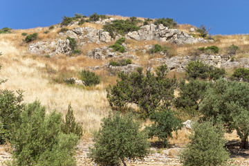 Grass covered slope with huge rock boulders. Choirokoitia (Khirokitia) Neolithic Settlement. Cyprus.