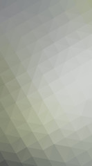 Obraz premium Gray polygonal design illustration, which consist of triangles a