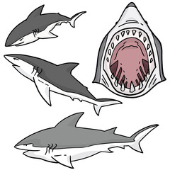 vector set of shark