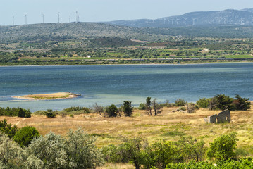 Fototapeta na wymiar Summer landscape in Languedoc-Roussillon (France)