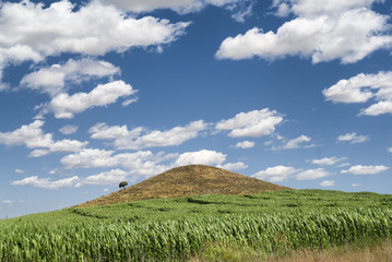 Naklejka premium Aragon (Spain): summer landscape