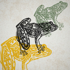 Obraz premium Vector frog in abstract composition.