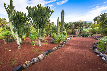 Garden in Puero de la Cruz, Tenerife, Canary islands, Spain - 105256661