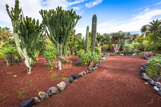 Garden in Puero de la Cruz, Tenerife, Canary islands, Spain