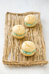 Vanilla whoopie pies with turquoise buttercream filling