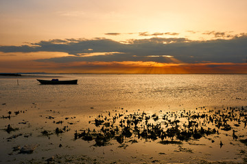 Naklejka premium Marine landscape with boat, in France (Camargue)
