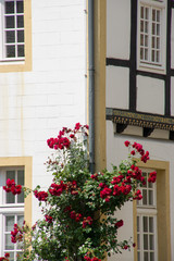 Fototapeta na wymiar Fassadenteil altes Rathaus in Wiedenbrück, Nordrhein-Westfalen