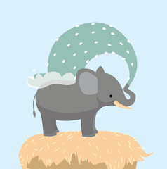 Elefant duscht sich mit seinem Rüssel