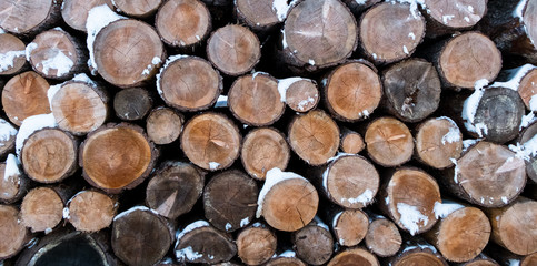 Wood log pile background 