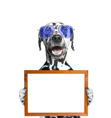 dog in glasses keeps frame in its paws