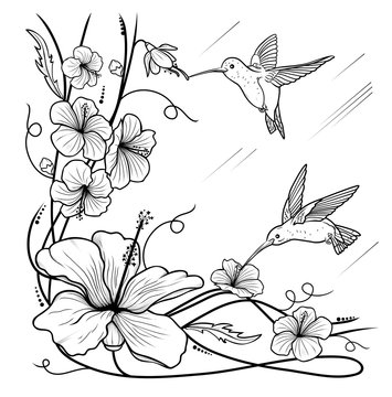 Humming-birds and flowers