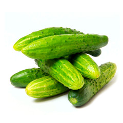 fresh green cucumbers, isolated on the white