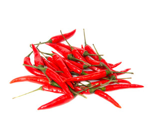 Pods of hot red pepper on a white background