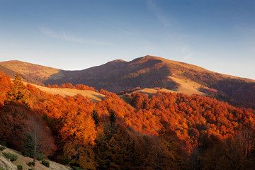 The setting sun, illuminating the hillsides covered with autumn beech forest. Ukrainian Carpathian Mountains.