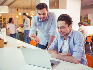 Handsome men working