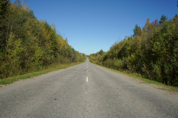 Fototapeta premium Autumn road in Kostroma Oblast, Russia.
