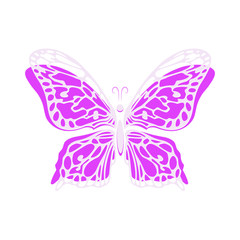 Vector butterfly drawn hand isolated on white background.