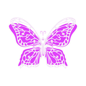 Vector butterfly drawn hand isolated on white background.