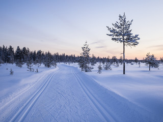 Obraz premium Ski trail middle of swamp after sunset