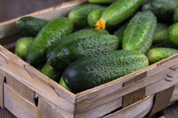 Cucumbers on a wooden background.