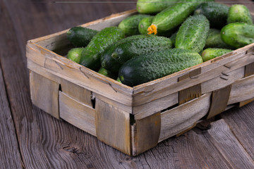 Cucumbers on a wooden background.