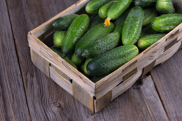 Cucumbers on a wooden background.