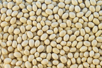Haricot beans white color closeup