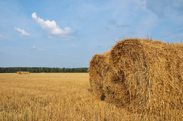 Straw bales in the countryside on a perfect sunny day