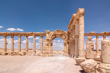 Fototapeta premium The ruins of Palmyra, Syria