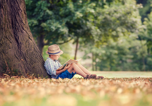 Reading boy sitting under big tree in park