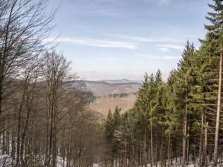 Blick durch die Bäume/Blick im Winter durch Nabel- und Laubbäume über diverse Bergrücken