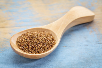 teff grain in wooden spoon