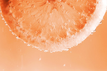 Fototapeta premium Lemon in the bubbles