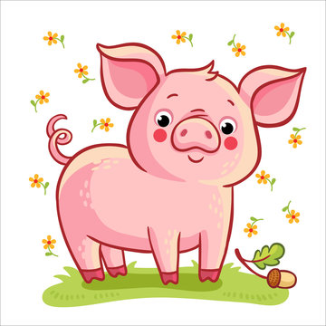 Farm animal. Vector illustration of pig and acorn on a white background with flowers.