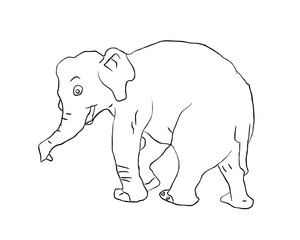 silhouette elephants