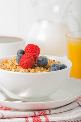 Granola Bowl Closeup Portrait