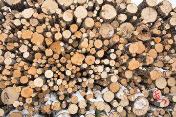 Felled Trees Timber Industry Abstract Background