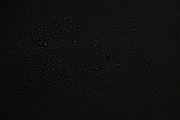 water drops on black background. - obrazy, fototapety, plakaty