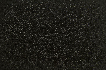 water drops on black background. - obrazy, fototapety, plakaty