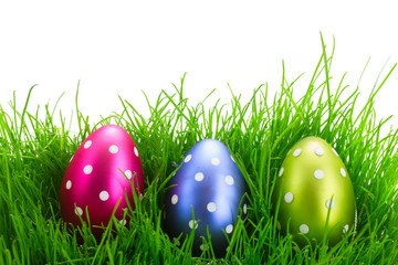Easter eggs in grass 