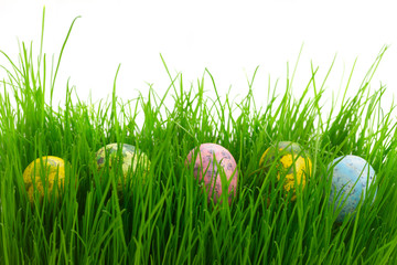 Easter eggs in grass 