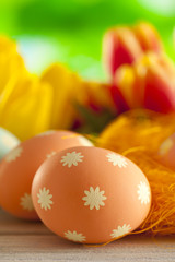 Painted Easter eggs and colorful spring flowers