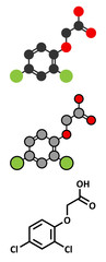 2,4-D (2,4-dichlorophenoxyacetic acid) Agent Orange ingredient.