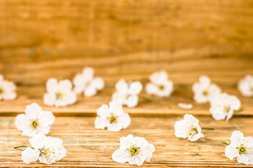 Obraz na płótnie Canvas Wooden background with white blossom petals, copy space