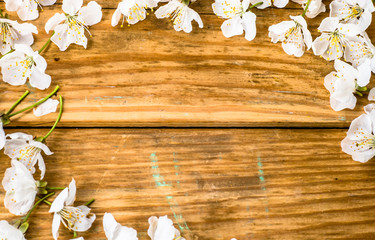 Wooden background with white blossom petals, floral frame, copy space