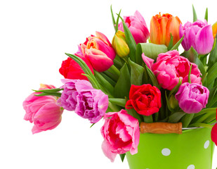 Obraz premium bouquet of pink, purple and red tulips