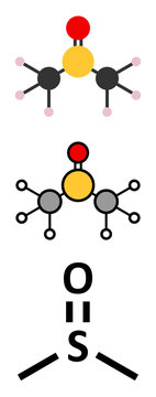 dimethylsulfoxide (DMSO) solvent molecule.