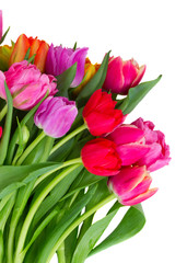 Obraz premium bouquet of pink, purple and red tulips