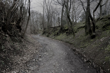 scary ravine path before nightfall
